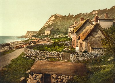 Cliffs, Shanklin, IOW (c.1890 - 1900) by English Photographer
